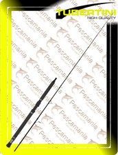 Canna Tubertini Pianosa mt