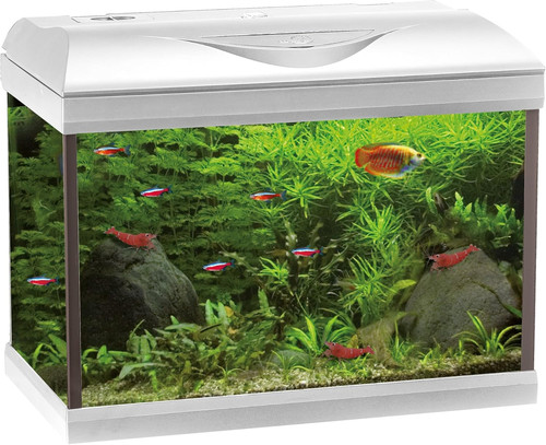 Basic led acquario - basic,