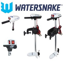 Watersnake ASP T24 SW motore
