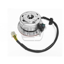 Pit Bike Mini Rotore Statore