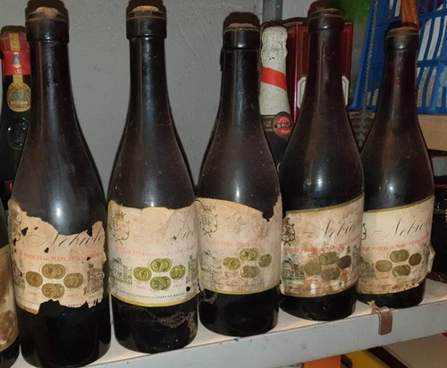 Bottiglie nebbiolo - 5, di