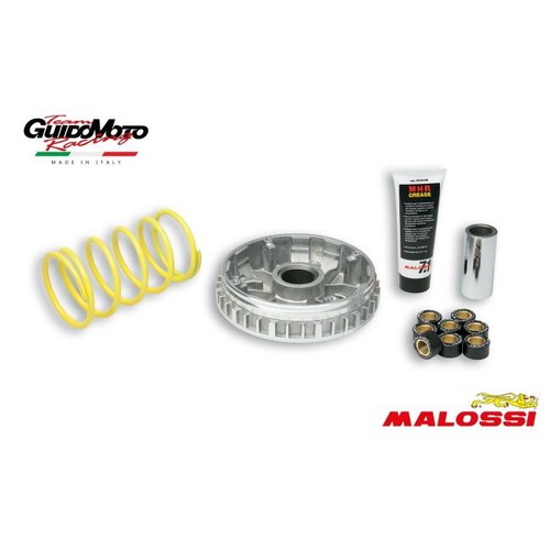 Variatore malossi multivar - variatore,