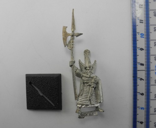 Alti elfi guardia fenice - alti,