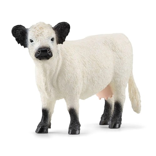 Mucca galloway miniatura - galloway,
