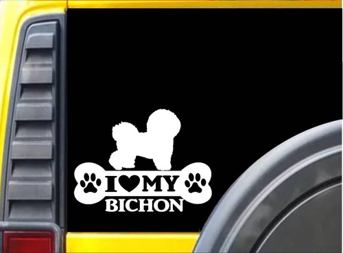 Adesivo bichon frise - bichon, l099