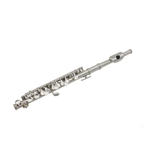 C-Piccolo placcato argento
