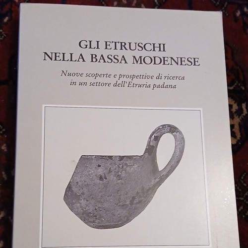 Gli etruschi nella bassa - nella,