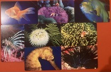 schede telefoniche italiane rare usate