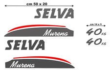 Coppia adesivi per motore