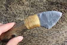 Lama selce blu Texas