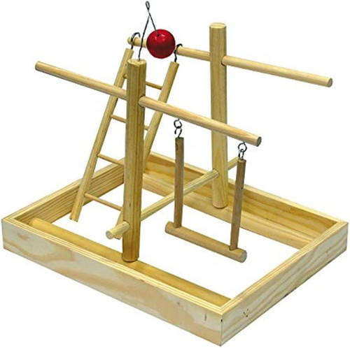 Gioco cocoriti palestra - gioco,