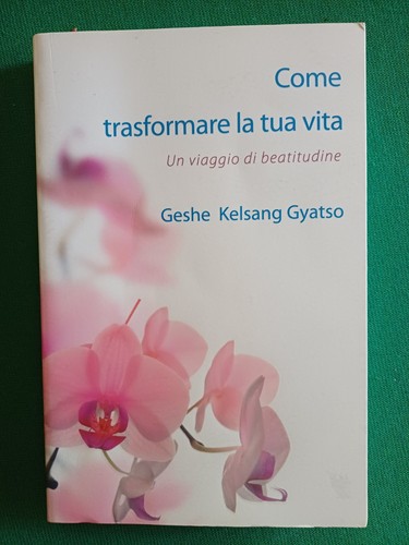 Geshe kelsang gyatso - geshe, come