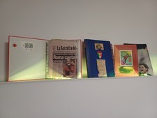 Particolare raccolta giornali