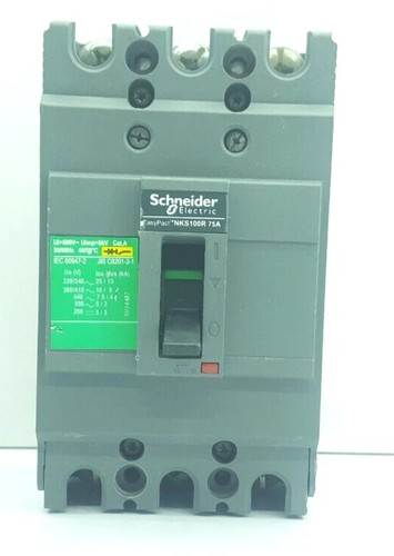Schneider nks100r interruttore - schneider,