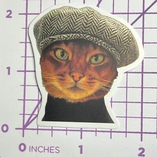 NEWSIES Costume Gattino Gatto