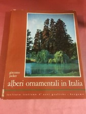 Jucker Giacomo ALBERI