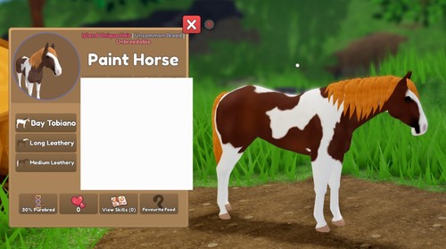 Iuh cavallo dipinto - -,