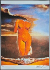 Salvador Dali Rhinoceronti 19
