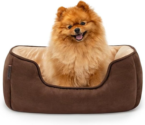Letto per cani - letto,
