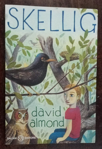 Skellig david almond - -,