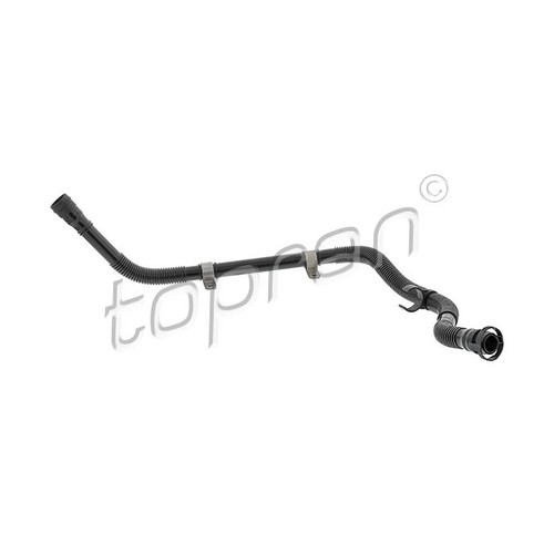 For golf bora audi a3 - bora,