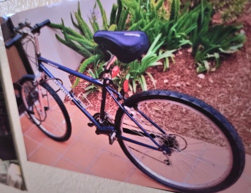 1993 bianchi mountain - 1993,