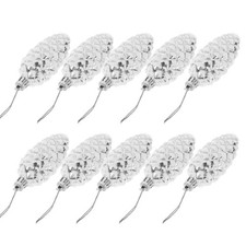 10 Pezzi Pigne Decorative