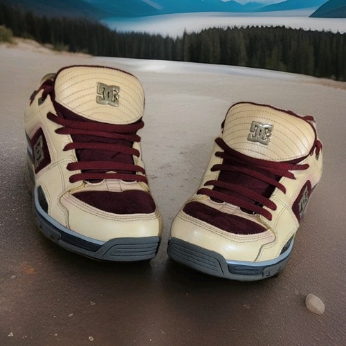 2009 shoes uomo redwood - dc,