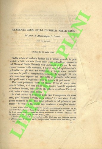 Strobel ulteriori cenni - -,