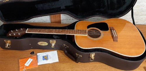 Chitarra acustica takamine - chitarra,