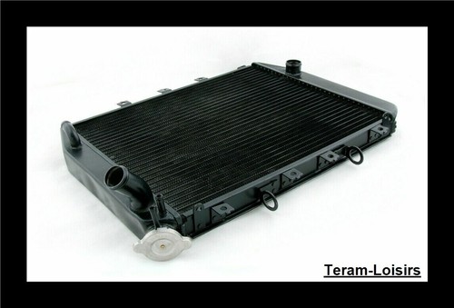 Radiateur pour kawasaki ninja - pour,