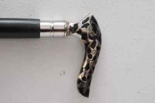 Bastone da passeggio Artiglio