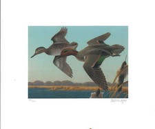 FLORIDA #23 2003 STAMPA