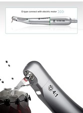 Angolo Dentatus Profin Eva con