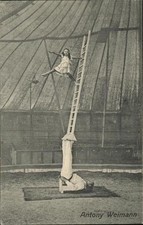 Artistik Circus Artistique