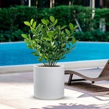 DIVINA GARDEN Vaso in Resina