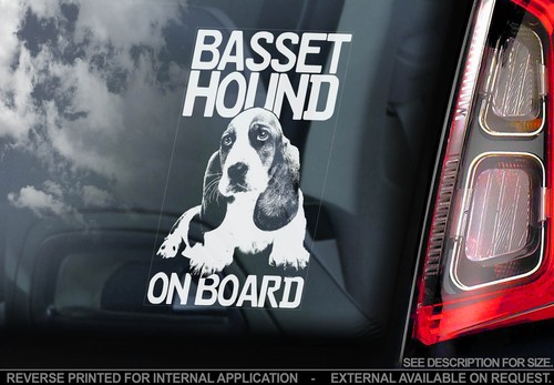 Basset hound dog car - hound,