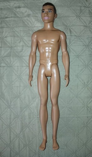 Barbie ken fashionistas - barbie,