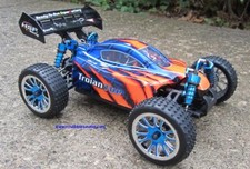  RC Brushless Electric Buggy /