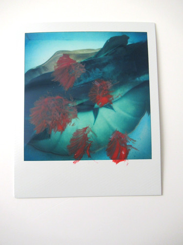 Araki polaroid originale - n.,