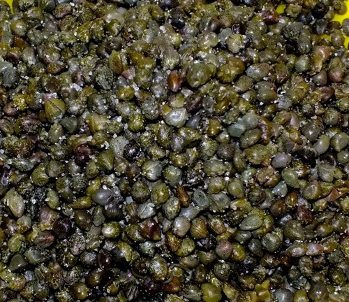Capperi sotto sale sicilia - sale,