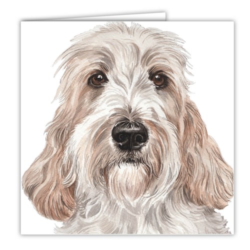 Petit basset griffon vendeen - griffon,