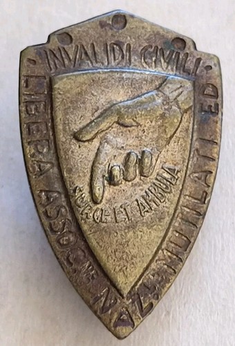 Distintivo invalidi civili - distintivo,