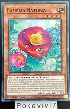 Carte YU-GI-OH! CAMELIA