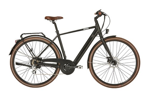 Bicicletta alpina citybike - bicicletta,