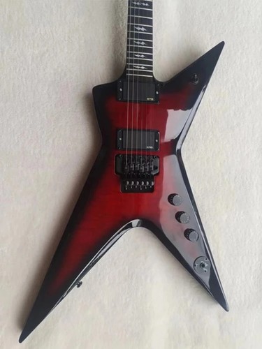 Custom washburn dime dimebag - washburn,
