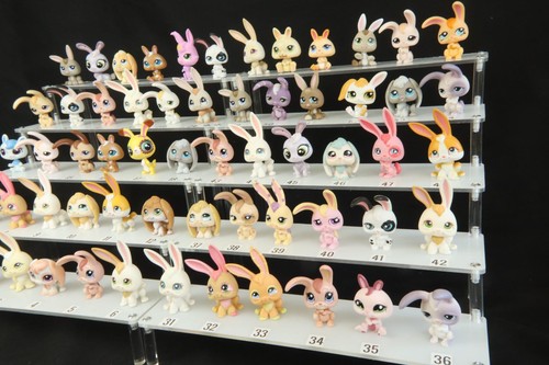 Conigli lepri lps - e, littlest