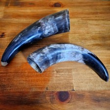 2 - River Water Buffalo Horn
