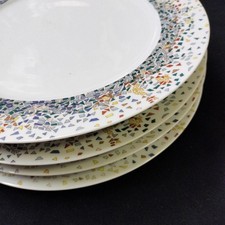 Piatti in porcellana Union