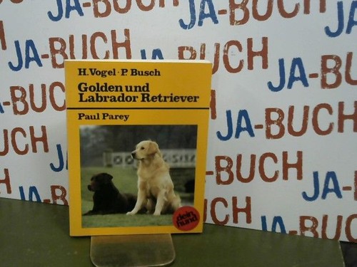 Golden und labrador - golden,